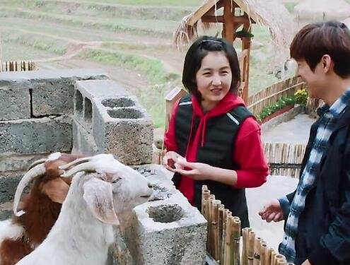 向往的生活3播出时间