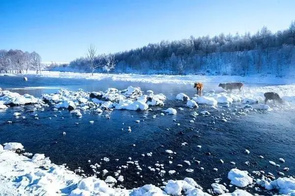 内蒙古神奇不冻河流水潺潺,为何零下40°C依然不结冰?