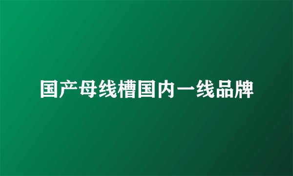 国产母线槽国内一线品牌