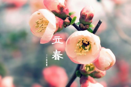 2019年有没有立春