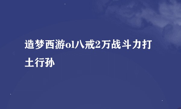 造梦西游ol八戒2万战斗力打土行孙