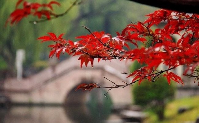 你是怎样的一个人？