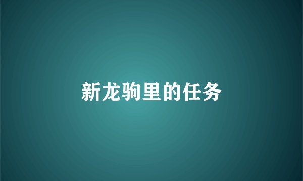 新龙驹里的任务