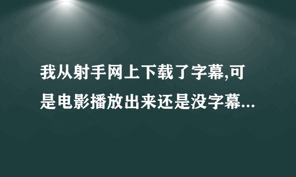 我从射手网上下载了字幕,可是电影播放出来还是没字幕,不知道怎么用?请各位仁兄告知!