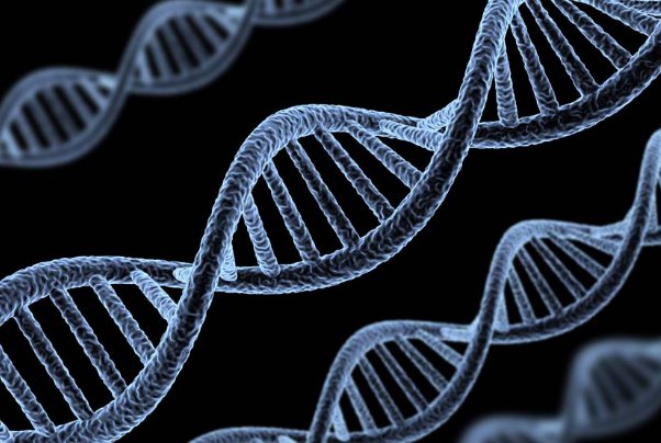 母亲dna和儿子dna一样不