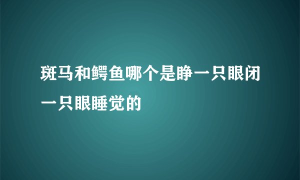 斑马和鳄鱼哪个是睁一只眼闭一只眼睡觉的