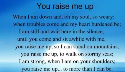 raise是什么意思中文