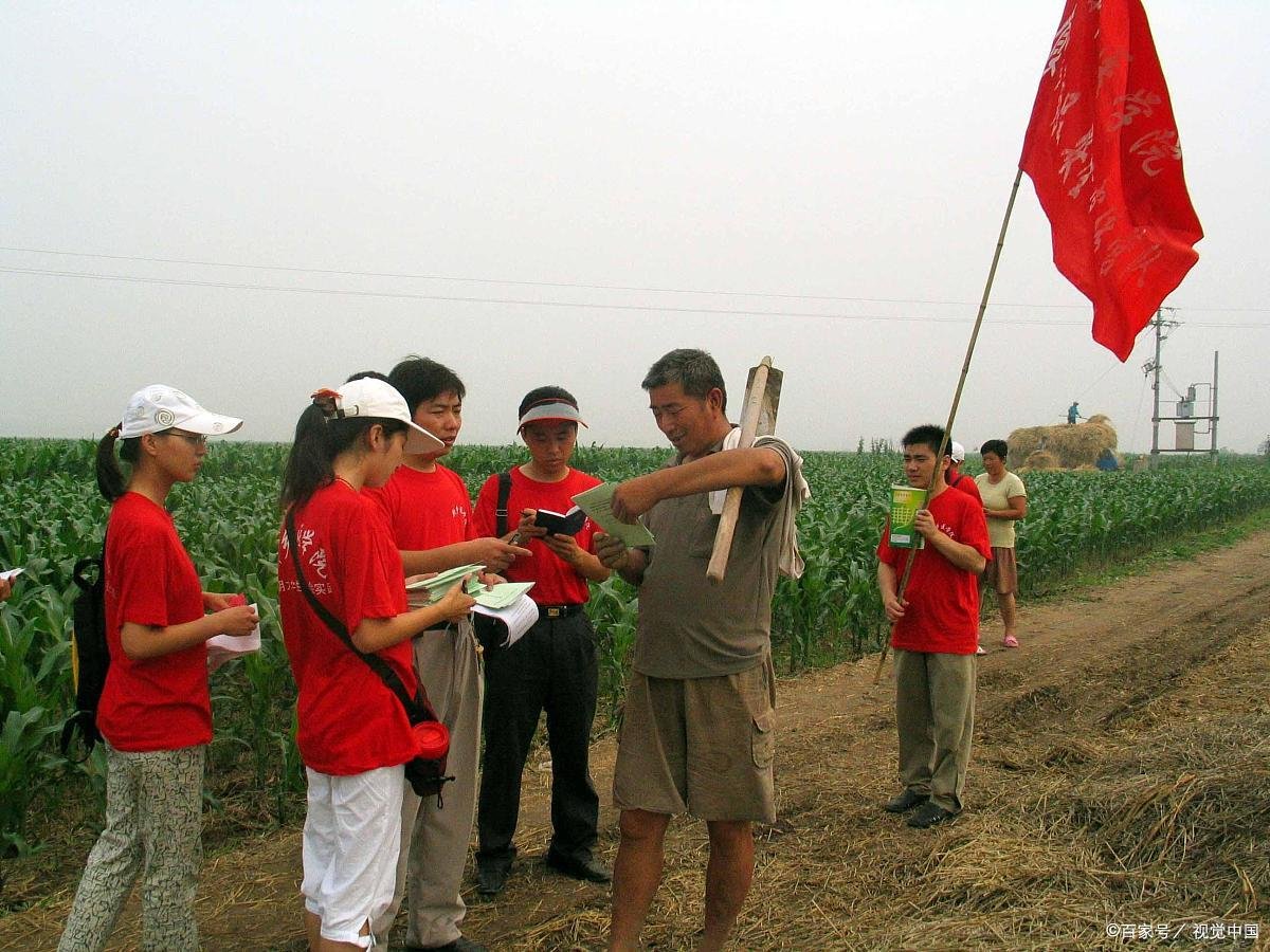 社会实践活动有哪些