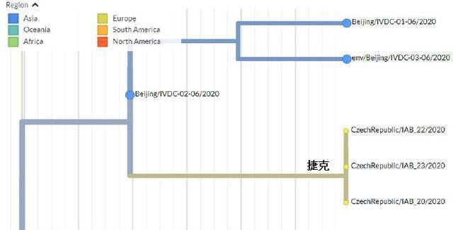 成都双流检测出环境样本阳性，什么是环境样本阳性？