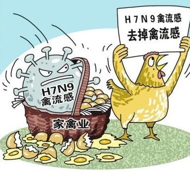四川出现禽流感，是否会危害人类的健康？
