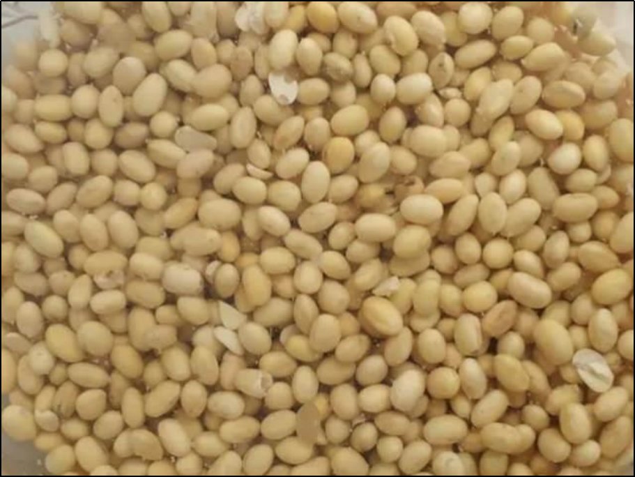 情侣磨豆浆的正确方法