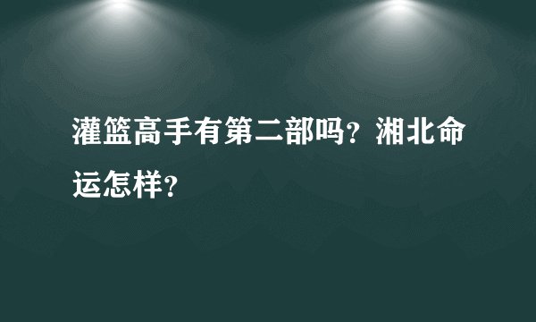 灌篮高手有第二部吗？湘北命运怎样？