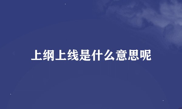 上纲上线是什么意思呢