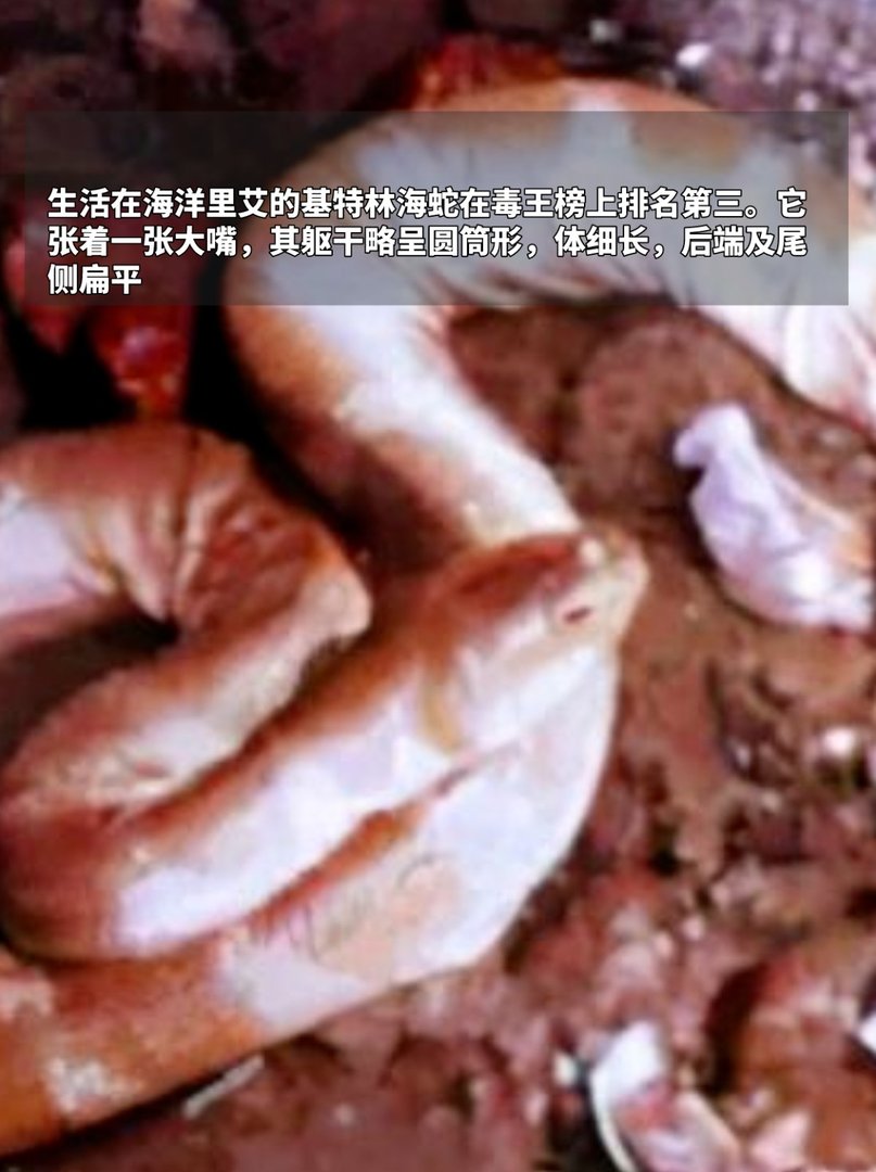 世界十大毒王，排名第一毋庸置疑