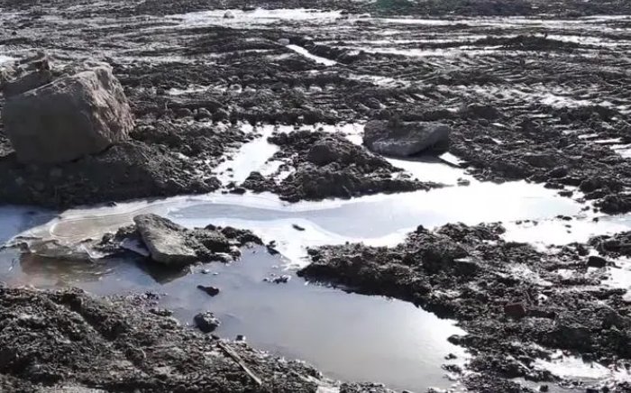 淤泥的淤怎么组词