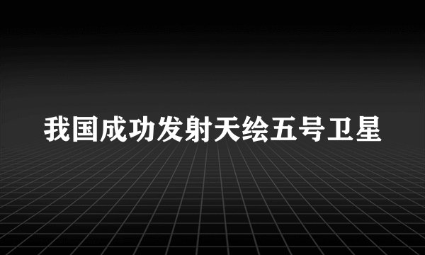 我国成功发射天绘五号卫星