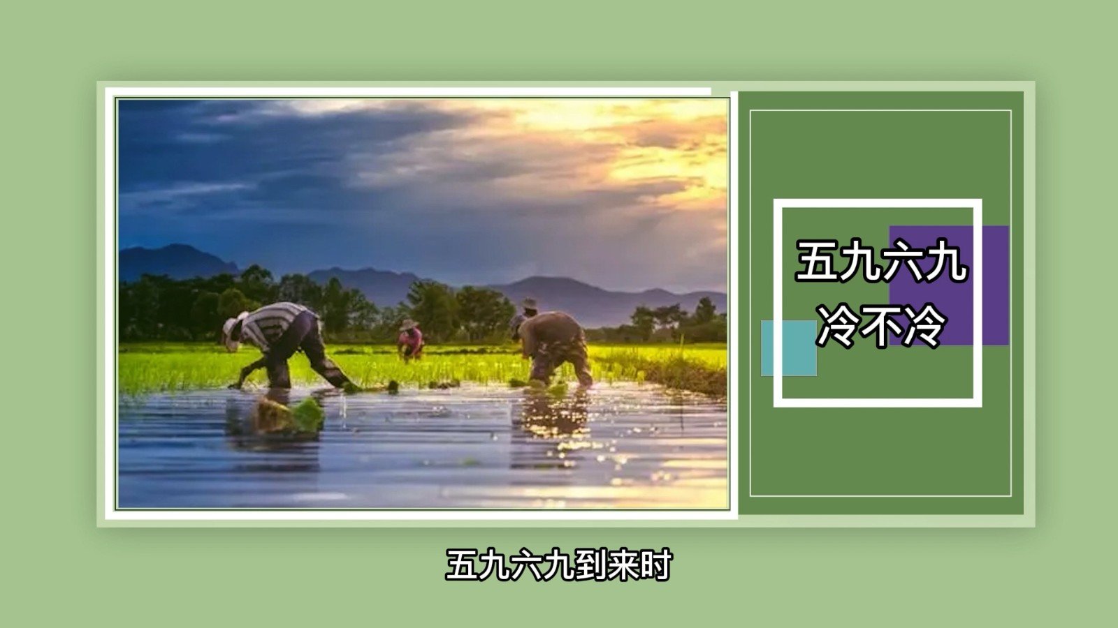 五九六九冷不冷？