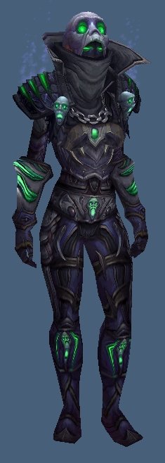 求魔兽皮甲所有部位带骷髅的幻化，例如盗贼t8,说明出处，说的好100分感谢