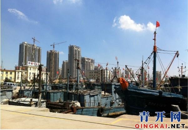 青岛开发区信息港的介绍