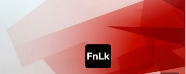 笔记本电脑的fn组合键如何使用？