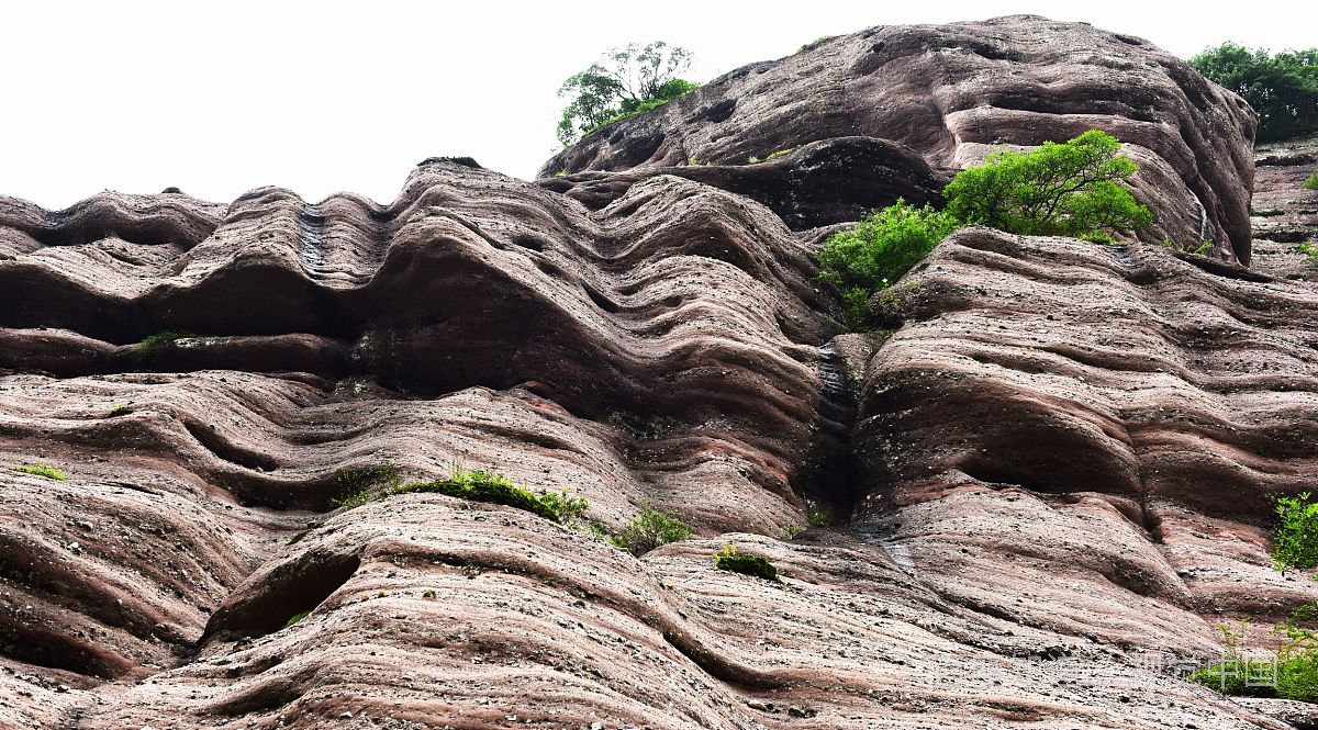 你坐电梯时最反感哪些行为？