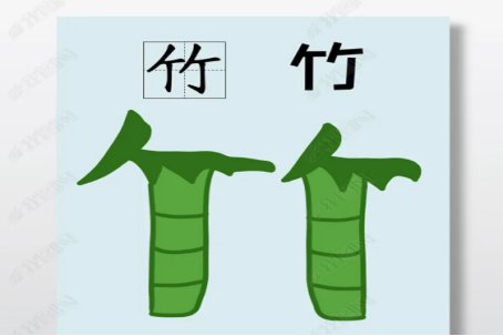 竹子拼音怎么拼写读音