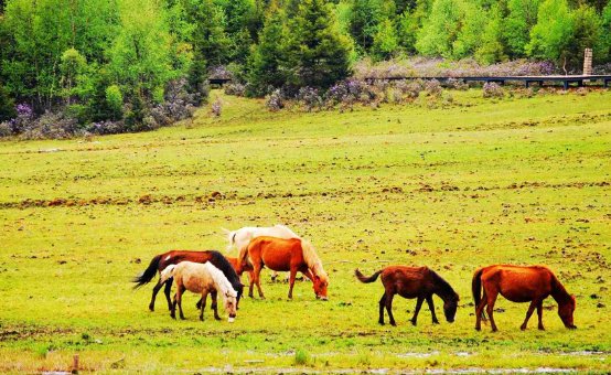 云南省中考时间2023年时间表