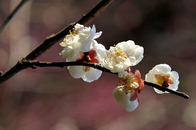 清风一吹 他们什么造句