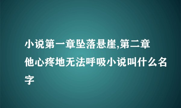 小说第一章坠落悬崖,第二章他心疼地无法呼吸小说叫什么名字
