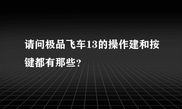 请问极品飞车13的操作建和按键都有那些？