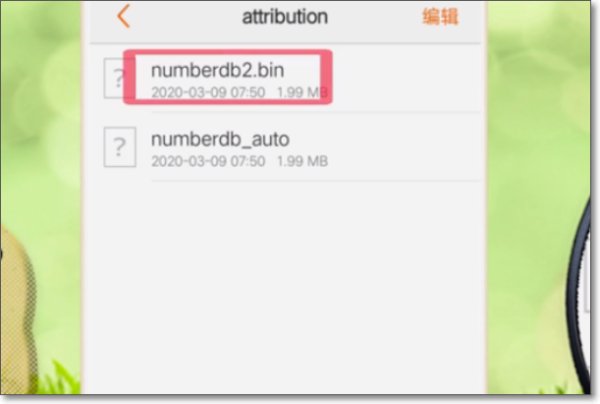 如何打开手机里bin格式的文件