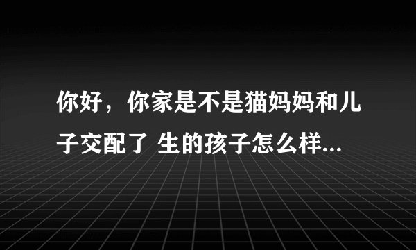 你好，你家是不是猫妈妈和儿子交配了 生的孩子怎么样了！着急我家也出现这种情况了