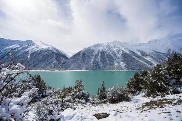 围脖时期的爱情的介绍