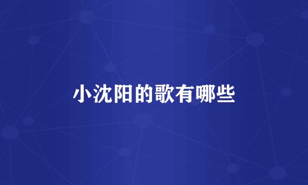 小沈阳的歌有哪些