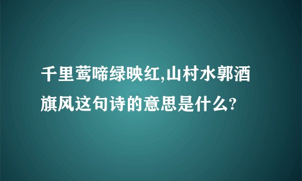 千里莺啼绿映红,山村水郭酒旗风这句诗的意思是什么?