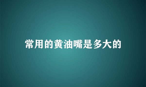 常用的黄油嘴是多大的