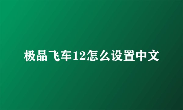 极品飞车12怎么设置中文