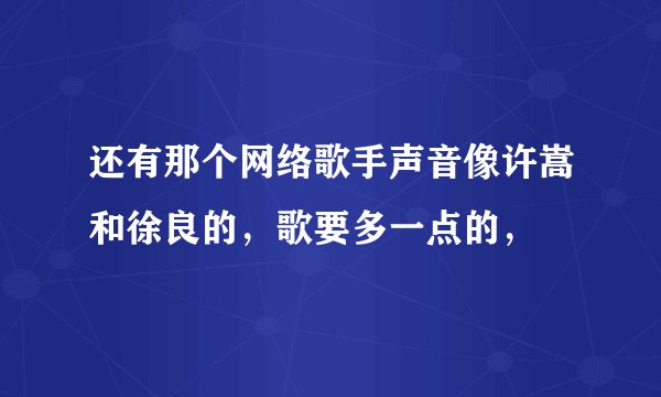 还有那个网络歌手声音像许嵩和徐良的，歌要多一点的，