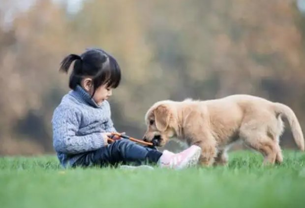 女子下楼梯被狗绊倒滚下地面，怎样看待这件事？生活中养狗需注意什么？