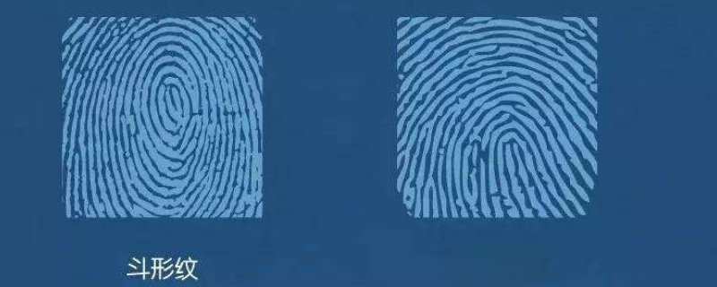 斗型花纹是什么