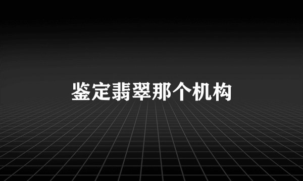 鉴定翡翠那个机构