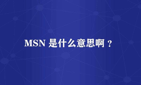 MSN 是什么意思啊 ？