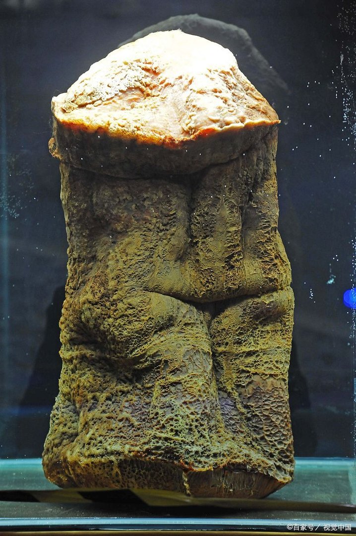 刑太岁是什么意思？？