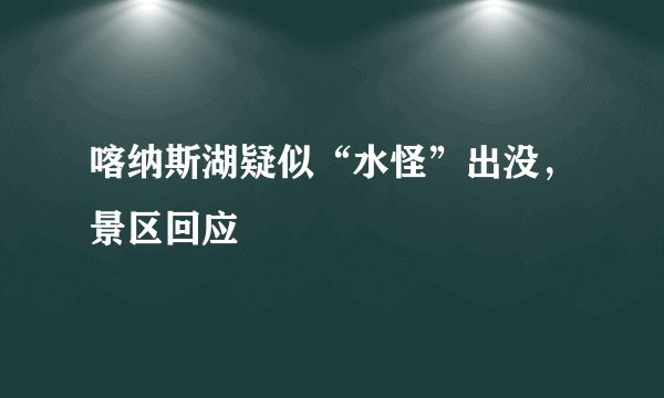 喀纳斯湖疑似“水怪”出没，景区回应