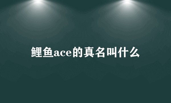 鲤鱼ace的真名叫什么