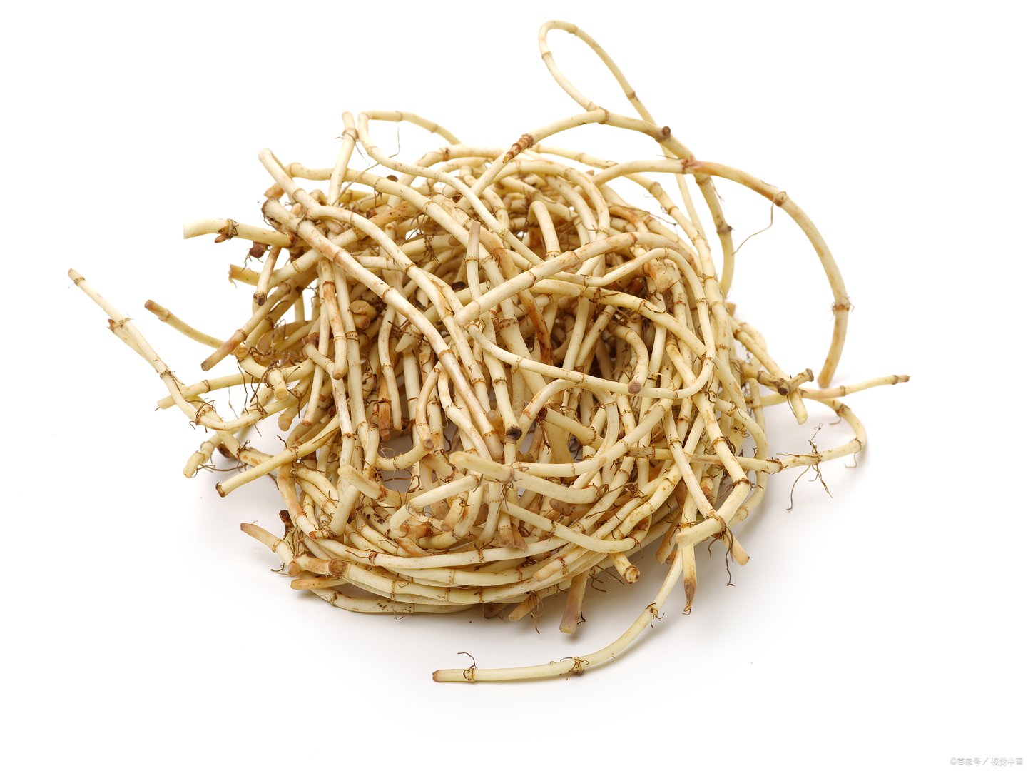 为什么折耳根又被叫做鱼腥草？它生长在哪些地方？