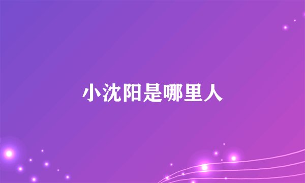 小沈阳是哪里人