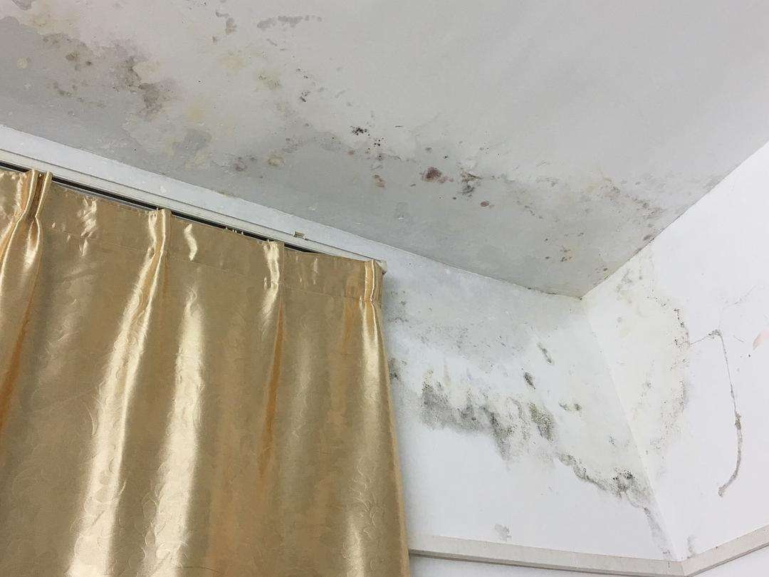 家里潮湿对人有什么害处