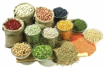 五谷代表什么数字