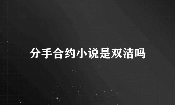 分手合约小说是双洁吗